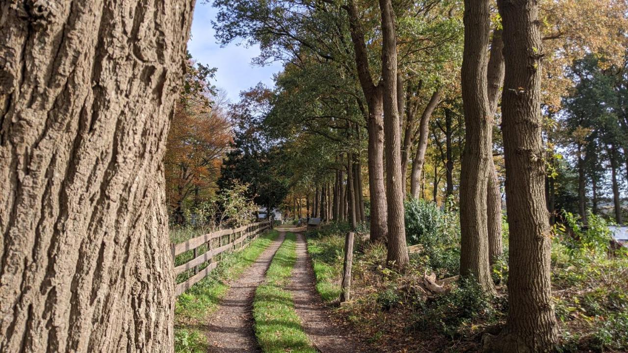 Chalet Op De Veluwe # Beuk Putten Esterno foto