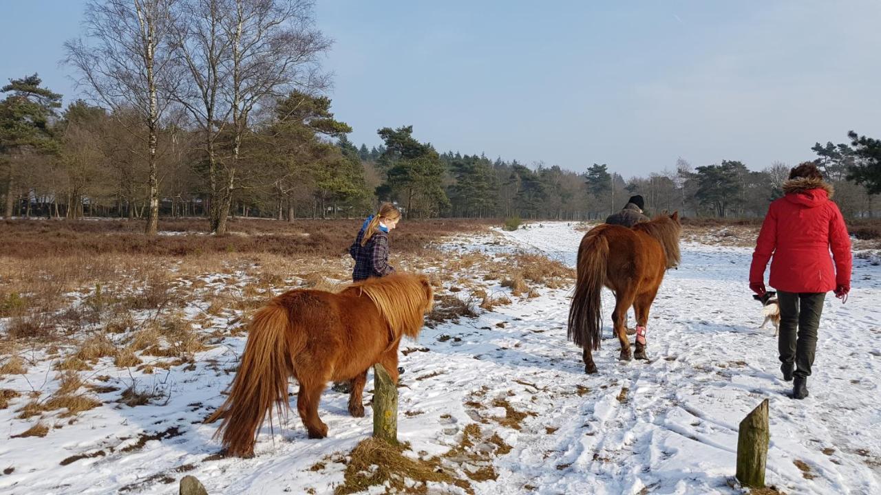 Chalet Op De Veluwe # Beuk Putten Esterno foto
