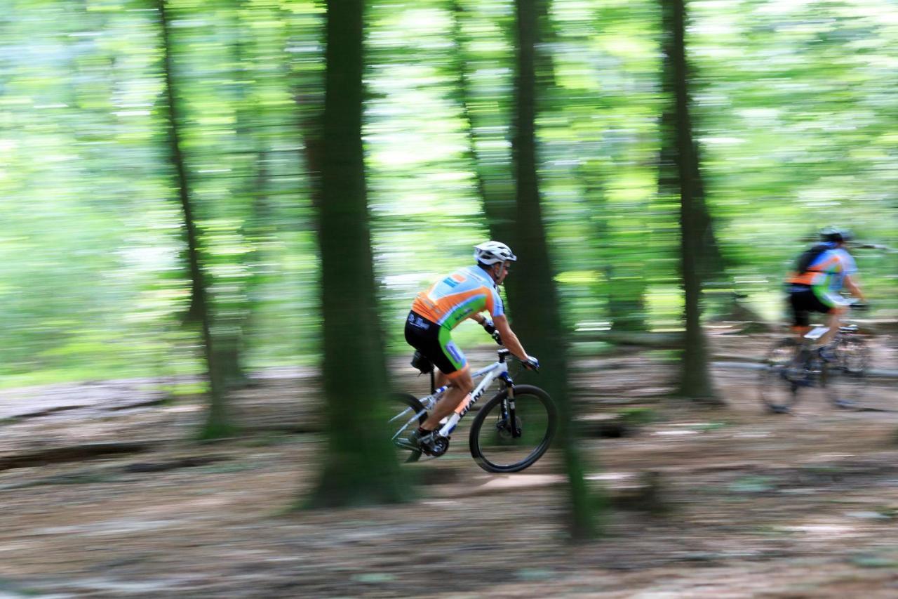 Chalet Op De Veluwe # Beuk Putten Esterno foto