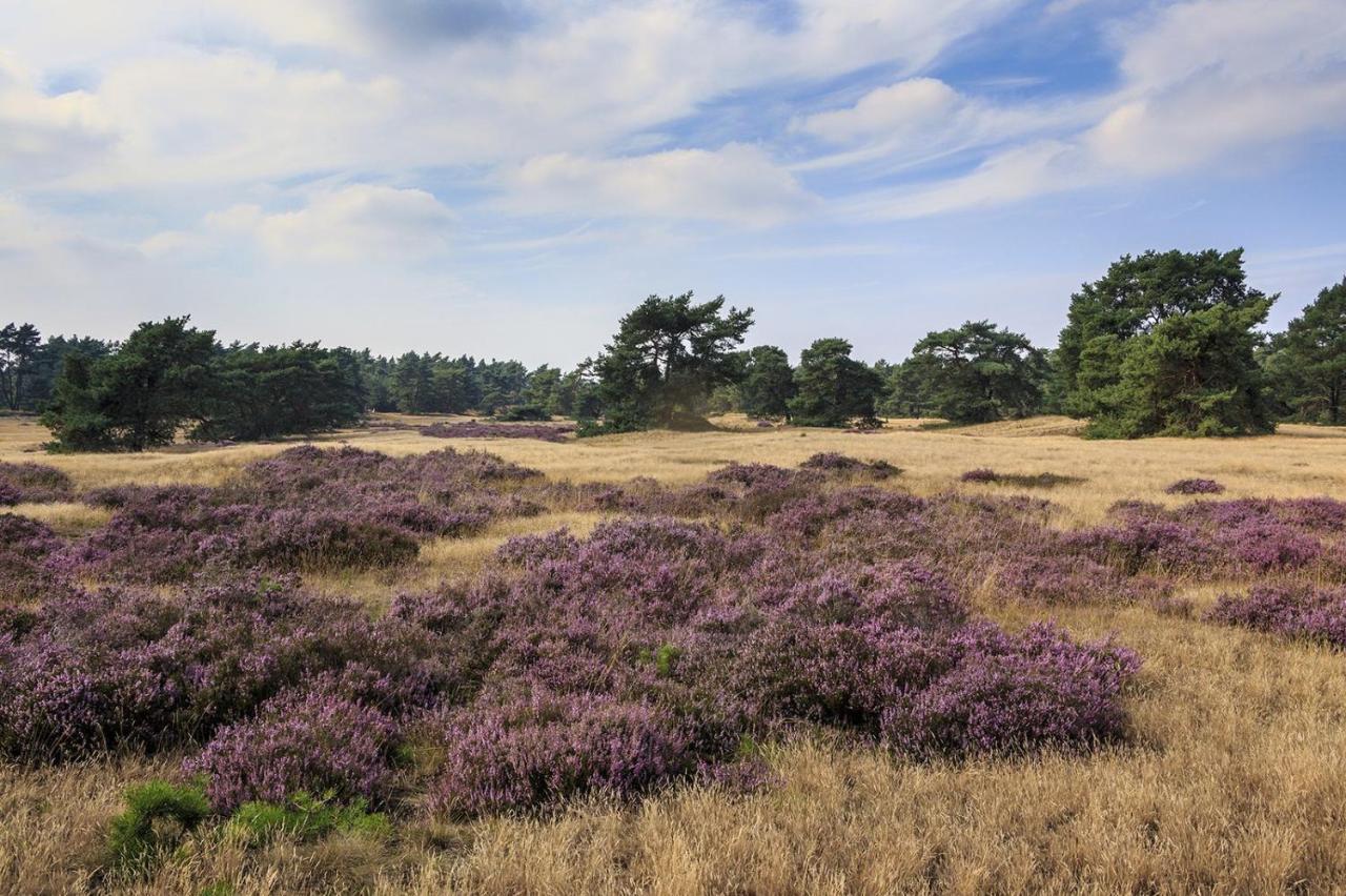 Chalet Op De Veluwe # Beuk Putten Esterno foto